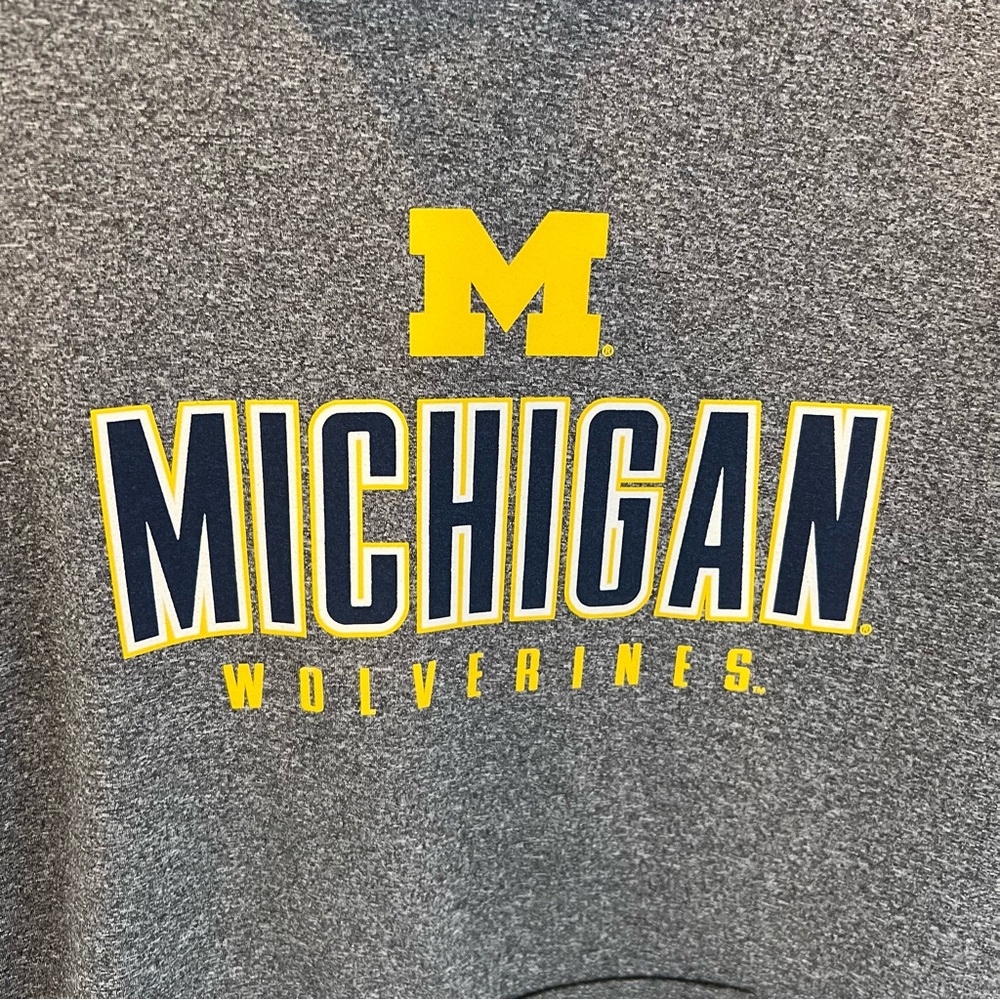 University of Michigan Wolverines Gray Blue Yellow Hoodie Sweatshirt Mens Medium - Picture 3 of 13